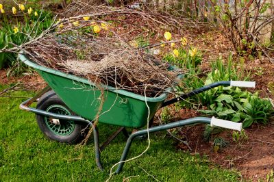 Lawn Debris Removal