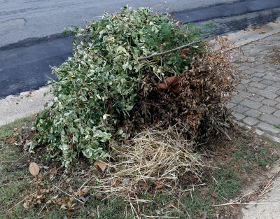 Lawn Debris Removal detail