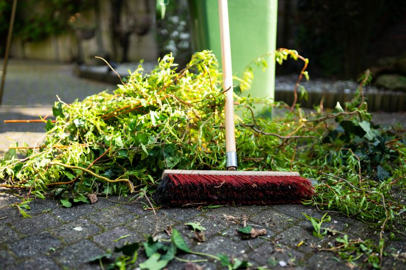 Lawn Debris Removal detail