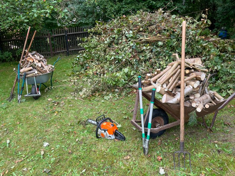 Lawn Debris Removal detail