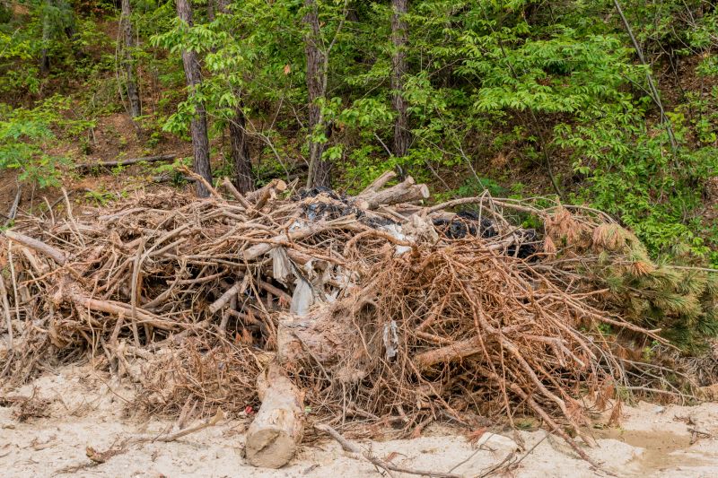 Wood Pile Removal in Ventura County, CA