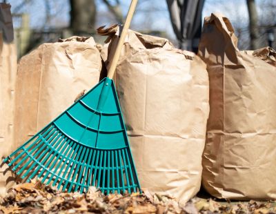 Get Professional Removal of Yard Debris!