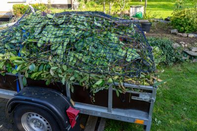 Remove Leaves, Branches, and Twigs!